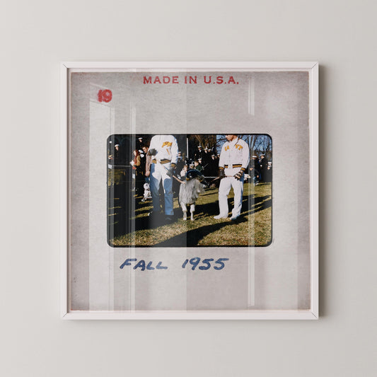 US Naval Academy Mascot Bill The Goat : Fine Art Print of an Authentic 35mm Slide