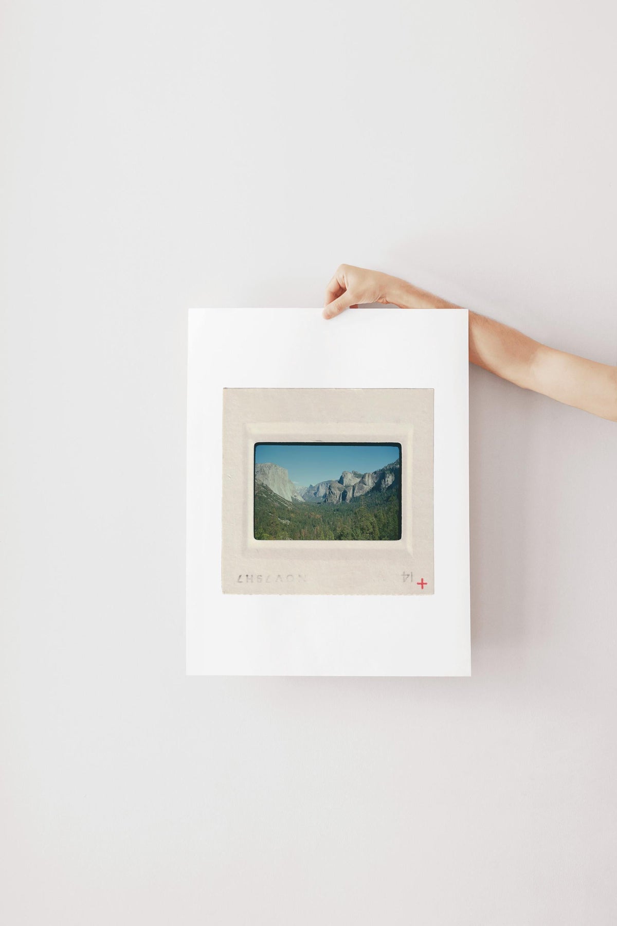 Vintage September 1980 color slide photograph of Yosemite Valley floor with yellow wildflowers, lush green meadow, tall conifers, and dramatic granite walls under a deep blue sky, printed as a fine art giclée print.