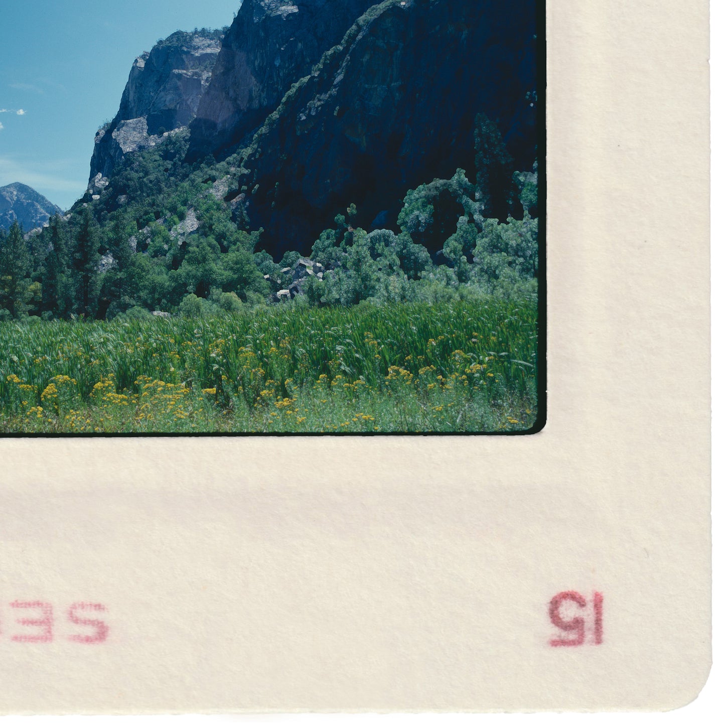 a scenic landscape with a mountain in the background and a field of flowers in the foreground.