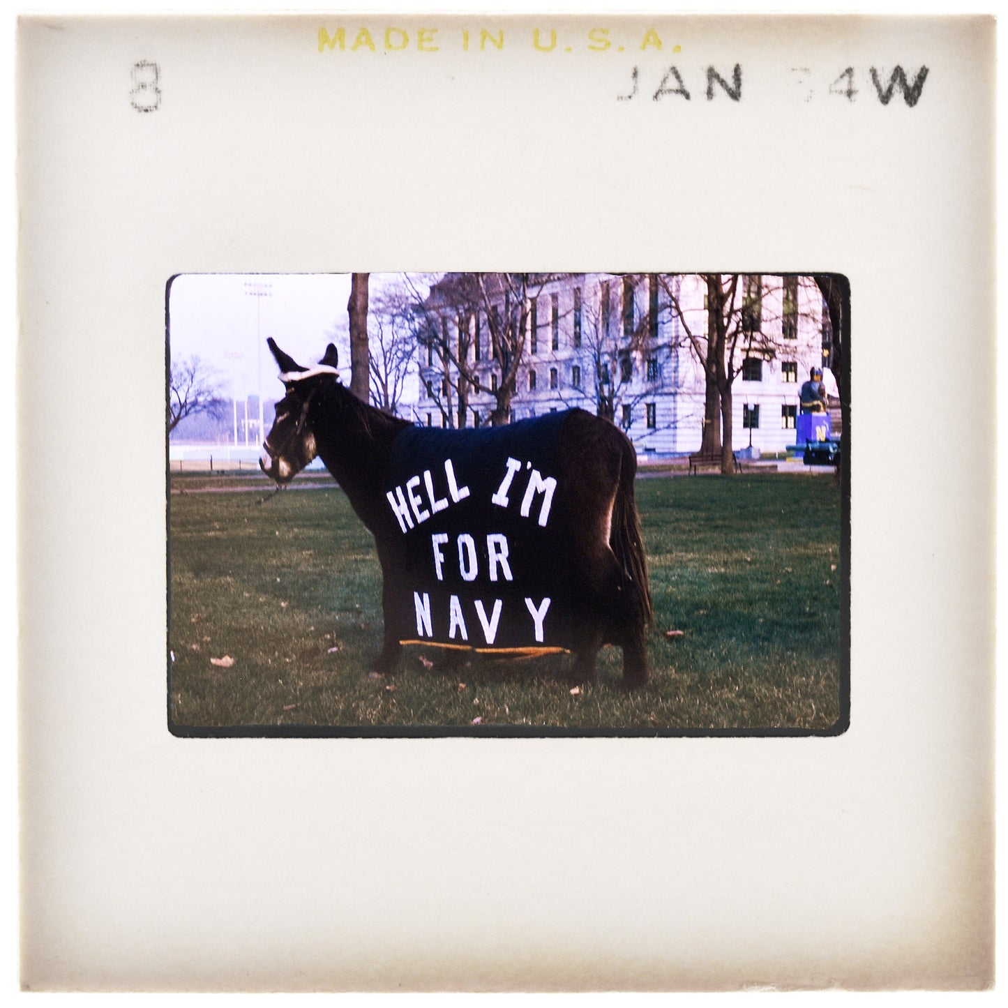 Army Navy Spirit Naval Academy Art Print, Navy Football Print, Vintage Military, Vintage Sports Memorabilia, Film