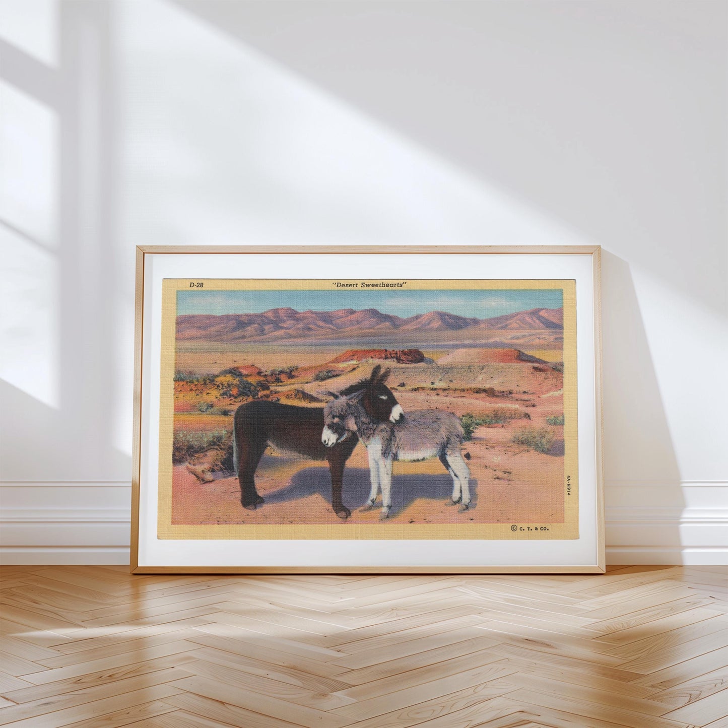 Donkeys in the Desert Landscape Vintage Postcard : Canvas Print