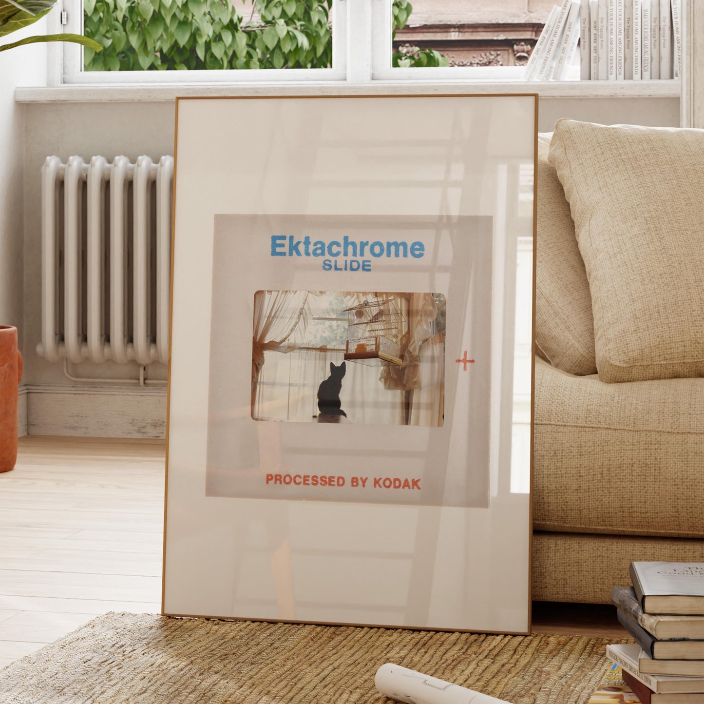 a framed slide from the movie Ektachrome, with a cat in the frame, placed on a rug in a living room setting.