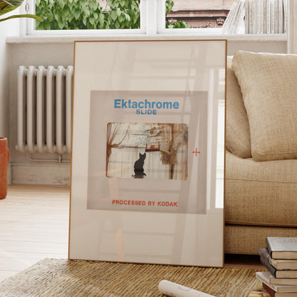 a framed slide from the movie Ektachrome, with a cat in the frame, placed on a rug in a living room setting.
