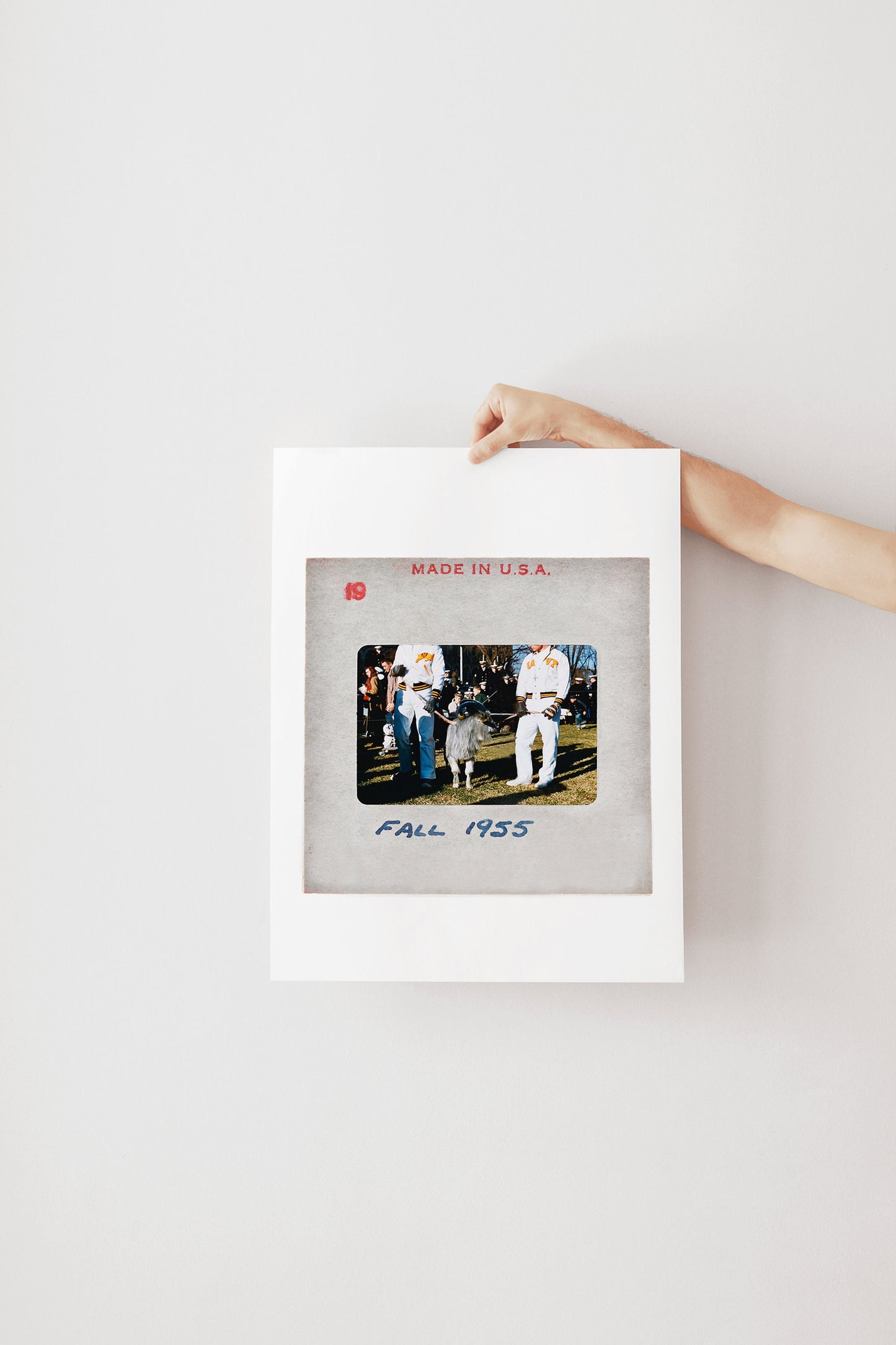 US Naval Academy Mascot Bill The Goat : Fine Art Print of an Authentic 35mm Slide