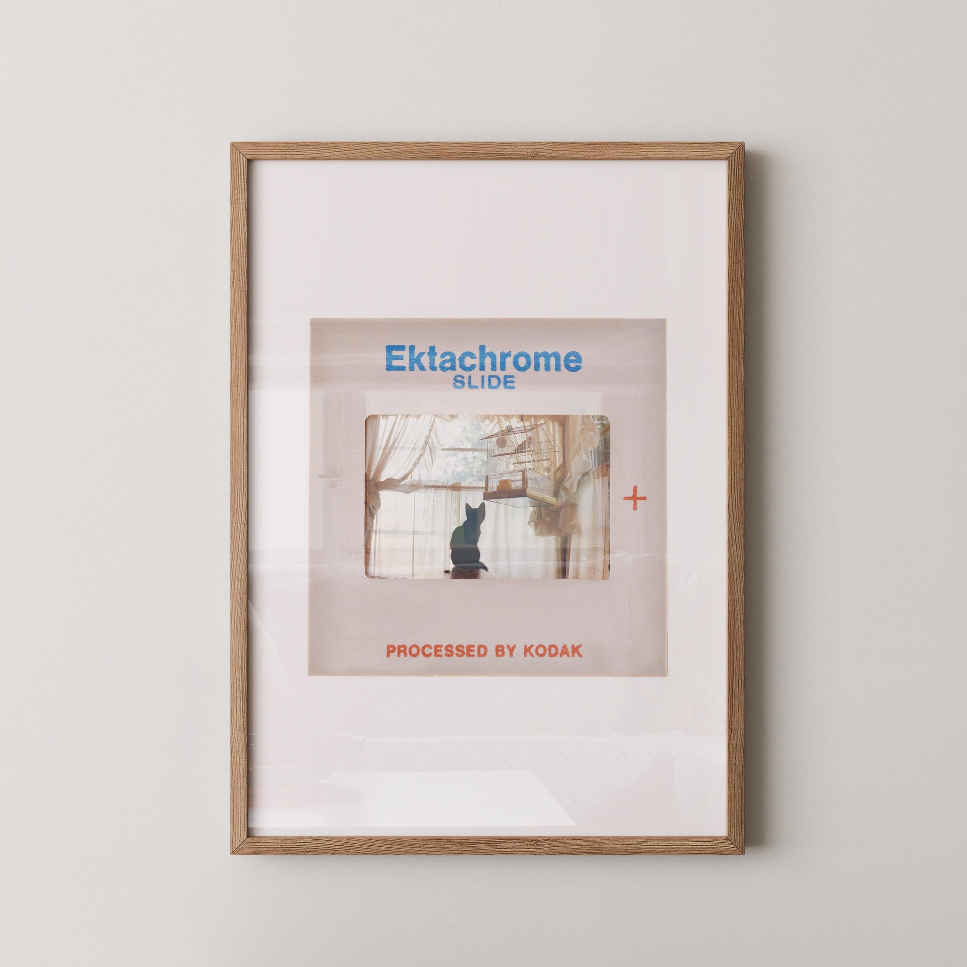 The image is a framed poster or artwork featuring a cat sitting on a windowsill, with the text "Ektachrome Slide" and "PROCESSED BY KODAK" printed on it.