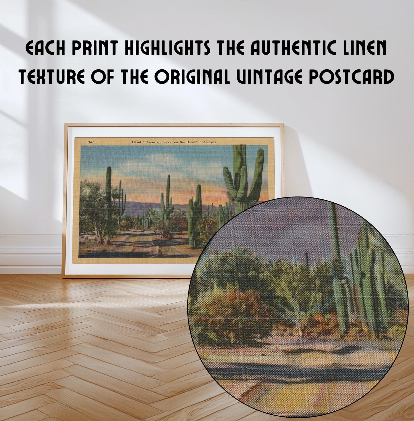 Desert Cactus Landscape Vintage Postcard : Canvas Print