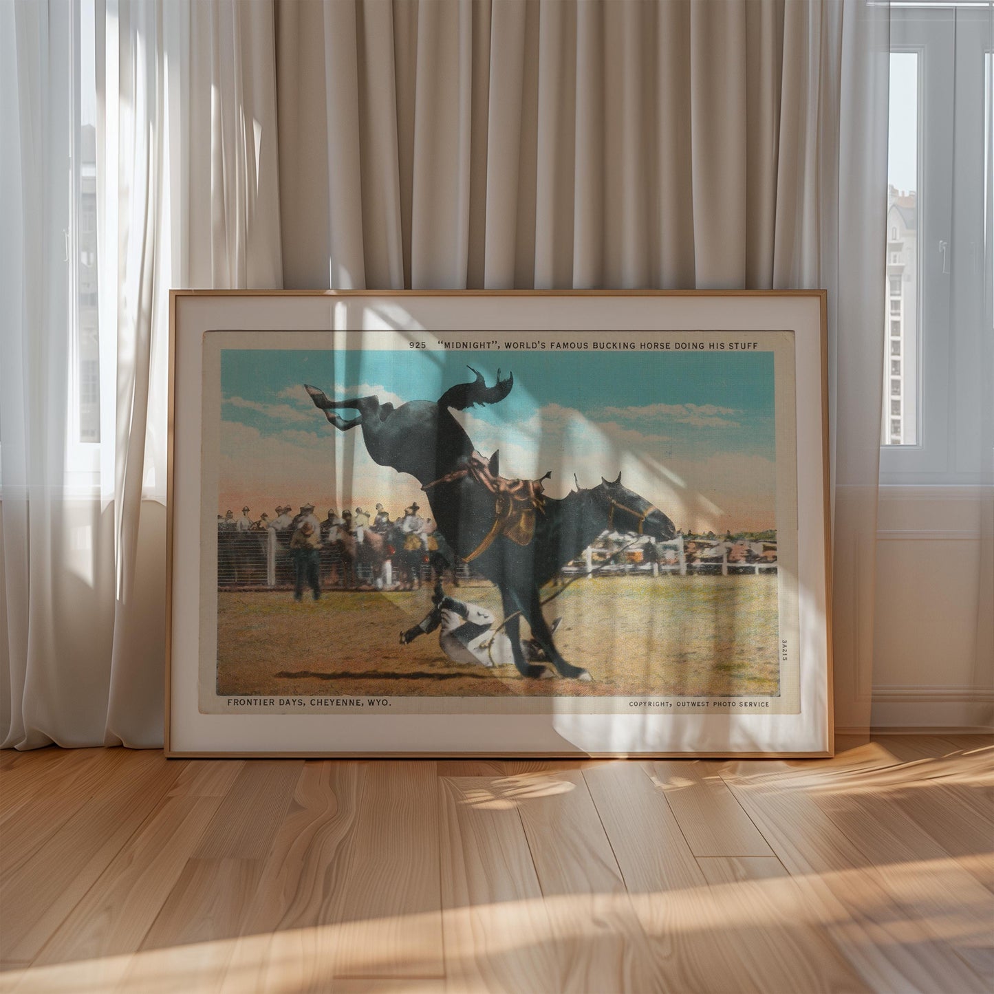 Bucking Bronco Vintage Illustrated Horse Postcard : Canvas Print