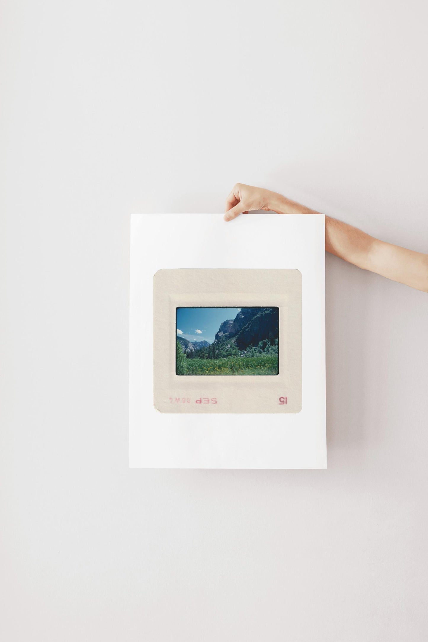 Vintage September 1980 color slide photograph of Yosemite Valley floor with yellow wildflowers, lush green meadow, tall conifers, and dramatic granite walls under a deep blue sky, printed as a fine art giclée print.