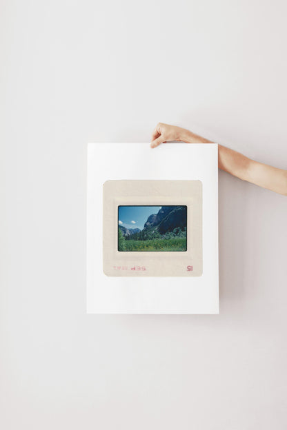 Vintage September 1980 color slide photograph of Yosemite Valley floor with yellow wildflowers, lush green meadow, tall conifers, and dramatic granite walls under a deep blue sky, printed as a fine art giclée print.