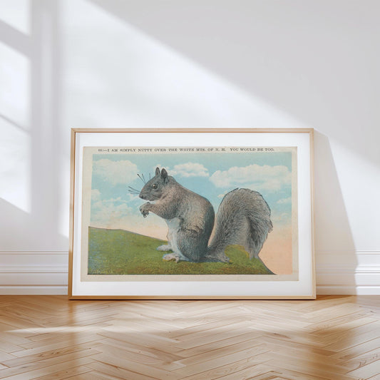 Squirrel Vintage Wildlife Illustration Postcard: Canvas Print