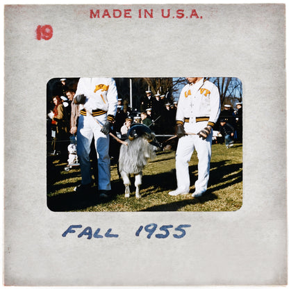 two men in white uniforms standing next to a sheep in a grassy field, with a crowd of people in the background.