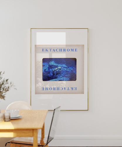 a framed poster of a blue underwater scene, hanging on a white wall above a wooden table and chair.