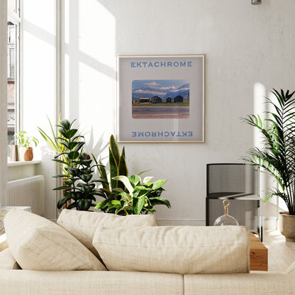 a cozy living room with a beige sofa, a framed poster of a scenic landscape, and several potted plants.